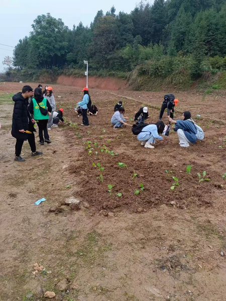邵陽市華龍中學,邵陽中學教育,高中教育,師資雄厚,名優(yōu)教師 邵陽市華龍中學,邵陽中學教育,高中教育,師資雄厚,名優(yōu)教師