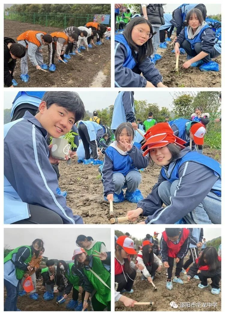 邵陽市華龍育英高級中學有限公司,邵陽中學教育,高中教育,師資雄厚,名優(yōu)教師